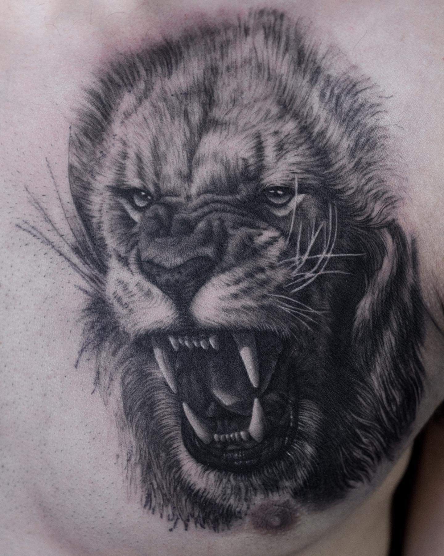 Tatuaj leu